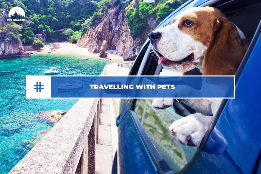 Travelling with Pets: Pet-Friendly Destinations and Tips